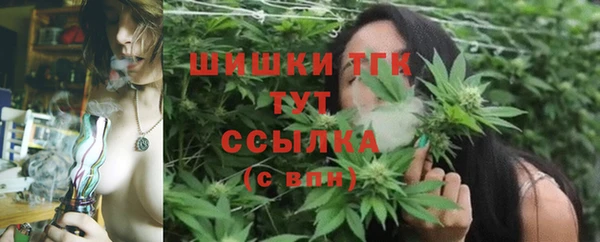 хмурый Абинск