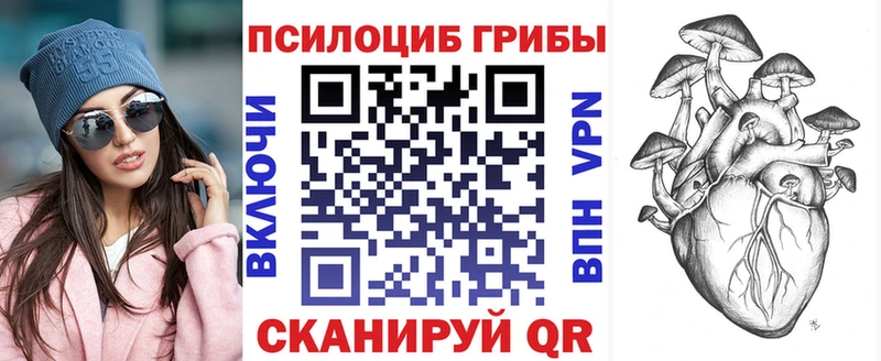 Галлюциногенные грибы ЛСД  OMG ТОР  Абинск  купить  цена 